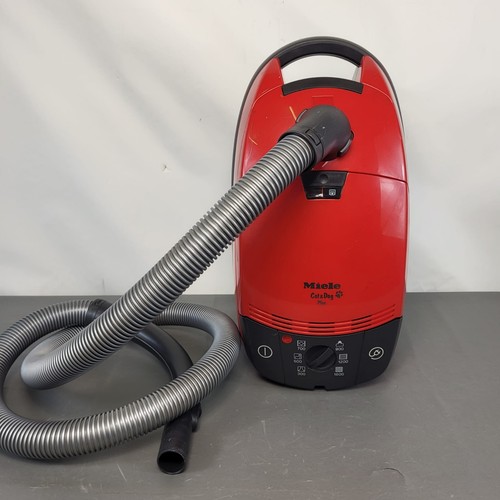 Miele cat dog - dog, plus