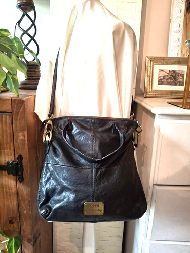 Vintage fossil real - fossil,