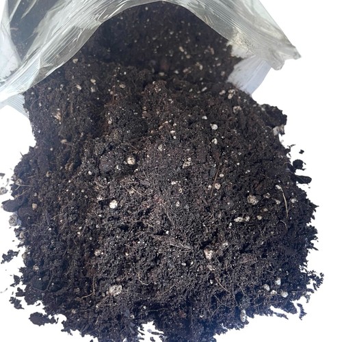 House plant compost - house,