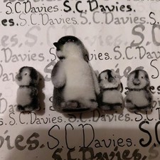 Snow In My Pocket penguin