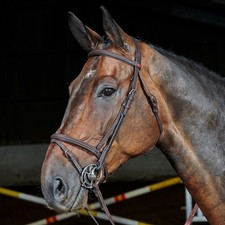 Whitaker Ready To Ride