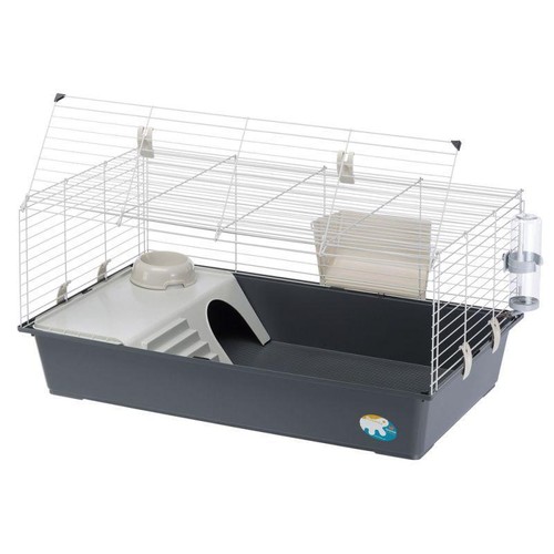 Rabbit and guinea - pig, cage