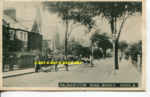 Pony trap on palmerston - pony, &