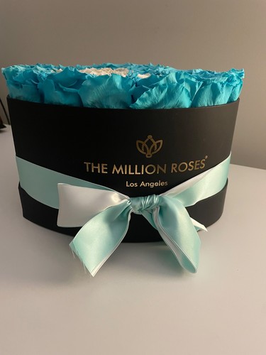 The million roses - million, roses,