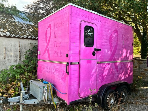 Horse box trailer bar