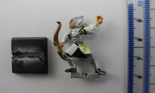 MORDHEIM SHADOW WARRIOR Metal