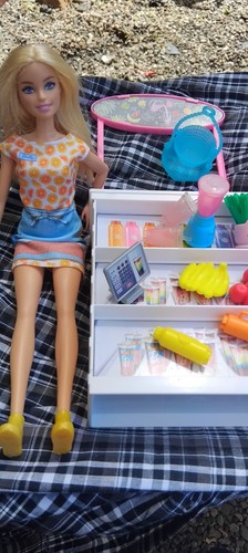 Barbie doll smoothie bar - ,