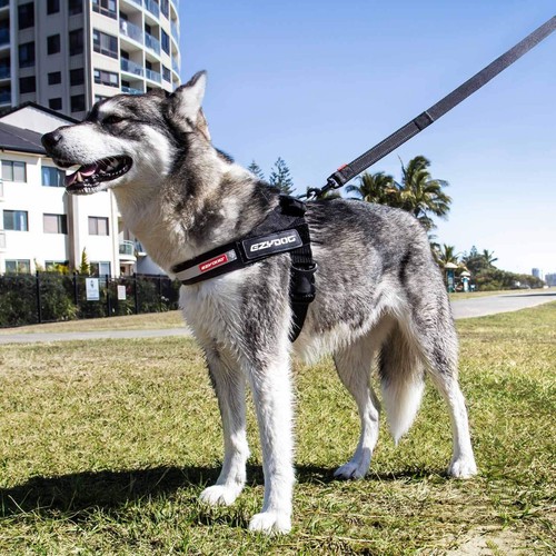 Ezydog express harness - ezydog,