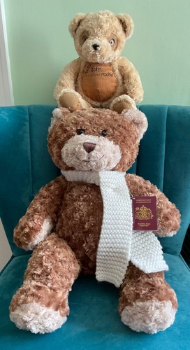 Bhs large teddy bear - teddy, and