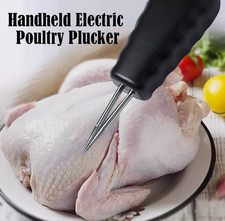 2024 Electric Poultry Feather