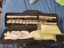 Asmuse Flute Beginners