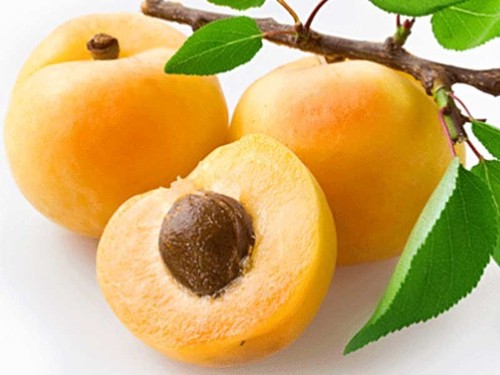 Apricot tree sweet - tree, *