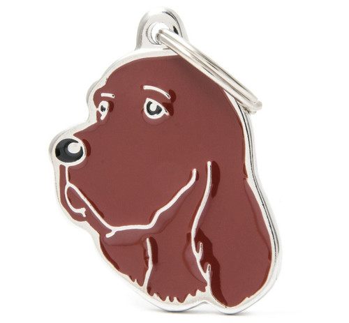 Irish red setter - irish, tag