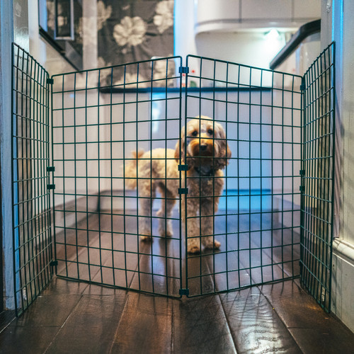 Indoor dog fence - indoor,
