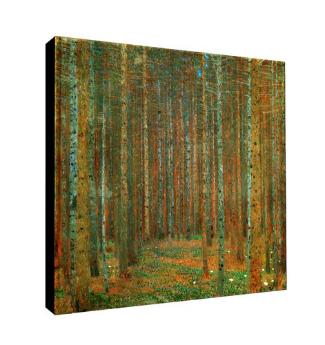 Pine forest tannenwald - pine,