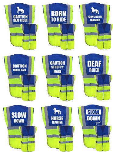 Horse riding vis - horse,