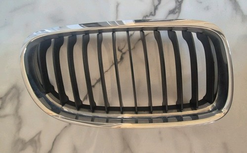 Chrome front kidney - kidney, grille