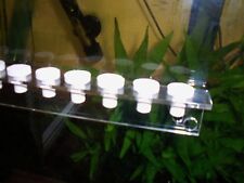 Marine Aquarium Reef Fish Tank Acrylic Coral Frag Racks 8  16  23 Plug Hole