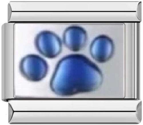 Blue paw italian charm - blue,