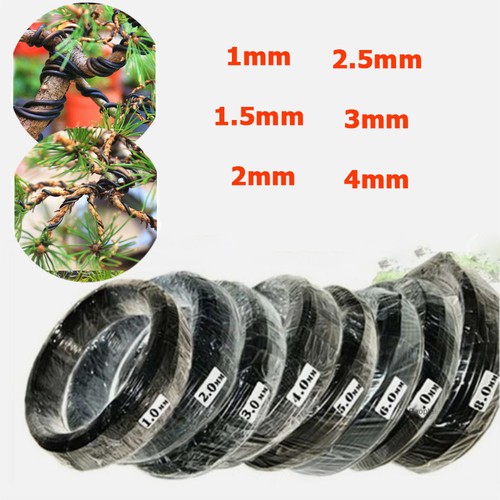 1mm 5mm 2mm - 2.5mm, 3mm