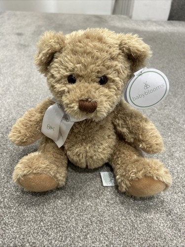 New baby blooms soft bear - soft, toy