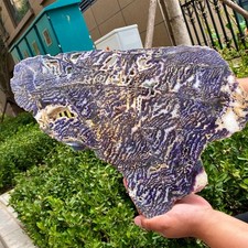 Polished Slab Zebra Pattern Stone Collection Display - 5.5LB