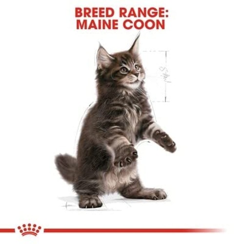 Royal canin kitten food - kitten,