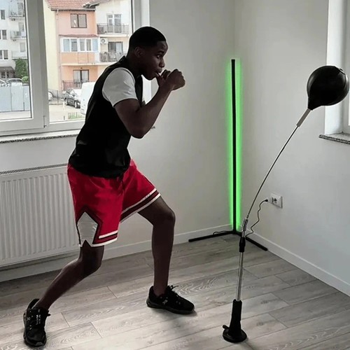 Premium cobra boxing - boxing, reflex