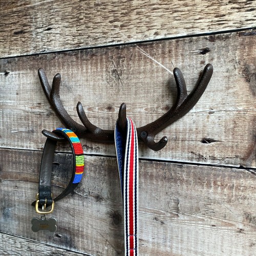 Cast iron antler - cast, wall