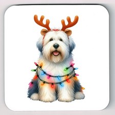 Old English Sheepdog Coaster