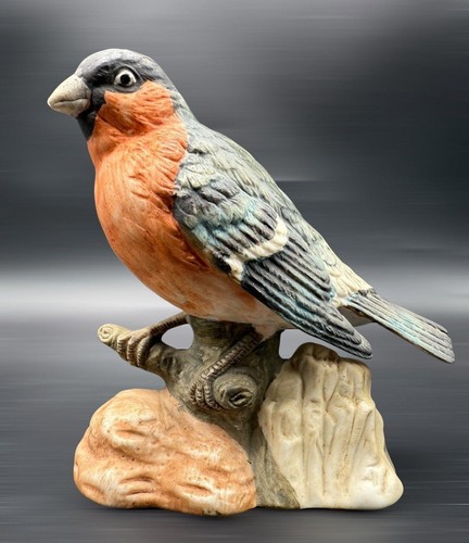 Meridian bullfinch bird - meridian,
