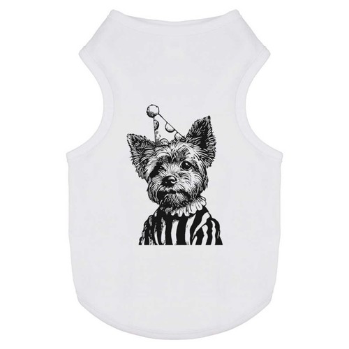 Clown yorkshire terrier - yorkshire, terrier'