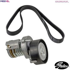 BELT TENSIONER VRIBBED BELT