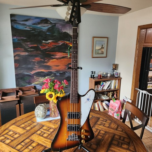Gibson thunderbird 1979 - thunderbird,