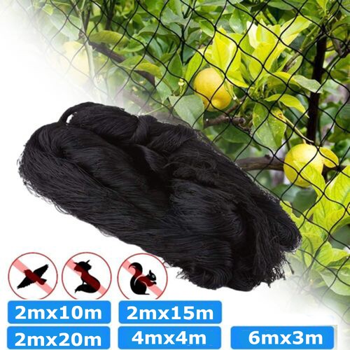 Garden netting bird pond net - bird,
