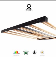 600w Grow Light Hydroponics