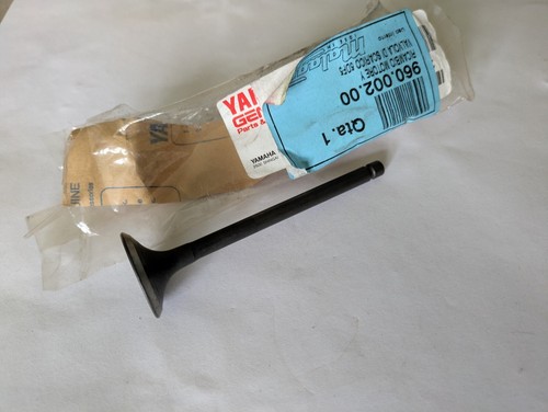 Genuine yamaha exhaust valve - genuine,