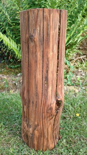 Tree stump table - , hardwood