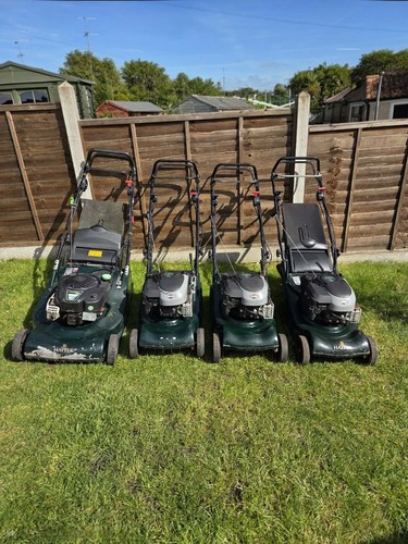 Joblot hayter harrier - hayter,