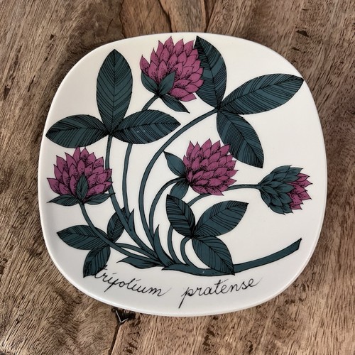 Rare arabia finland - rare, esteri