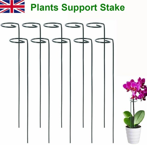 Spiral plant support stakes - spiral,
