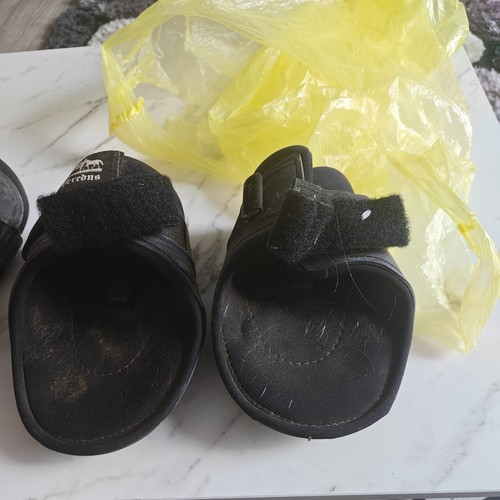 Veredus black fetlock and - veredus,