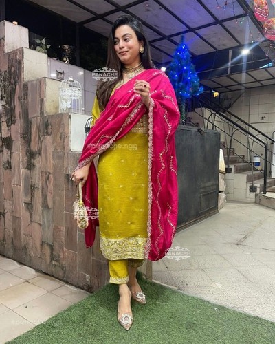 Designer indian pakistani top - pakistani,
