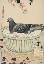 Japanese Pigeon in Bath metal sign, Pigeon Sign, Pigeon Plaque