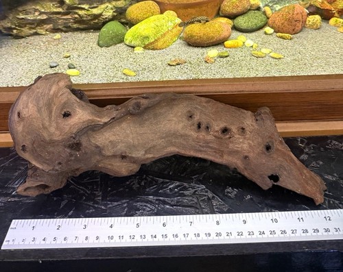 Natural aquarium driftwood - aquarium,