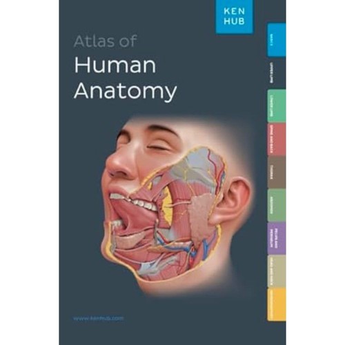 Kenhub atlas human anatomy - kenhub,