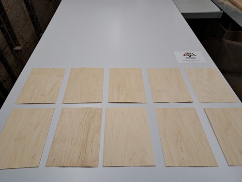 Wood veneer sample - veneer, 10