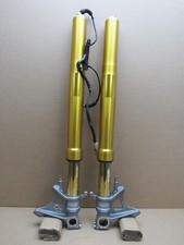 Aprilia Tuono V4 1100 Factory 2020 4,534 miles fork tube stanchions (12535)