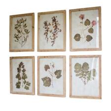 Farmhouse Botanical Set Six Pale Wood Frame Leaf Prints