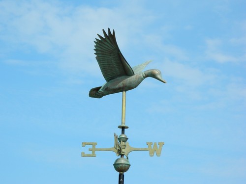 Cottage copper flying duck - cottage,